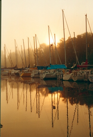 Harbor at Dawn